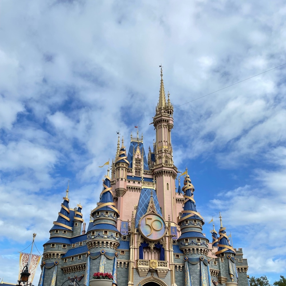 Meet your Posher, Maggie